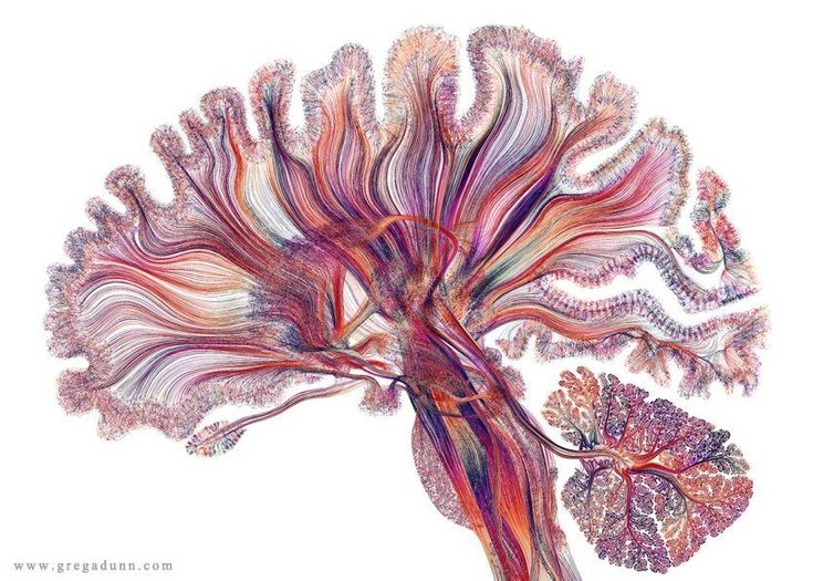 Cognitive Science