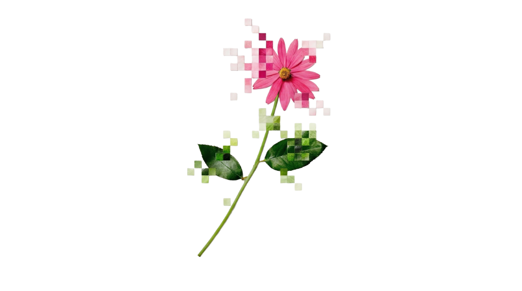 Flower Art